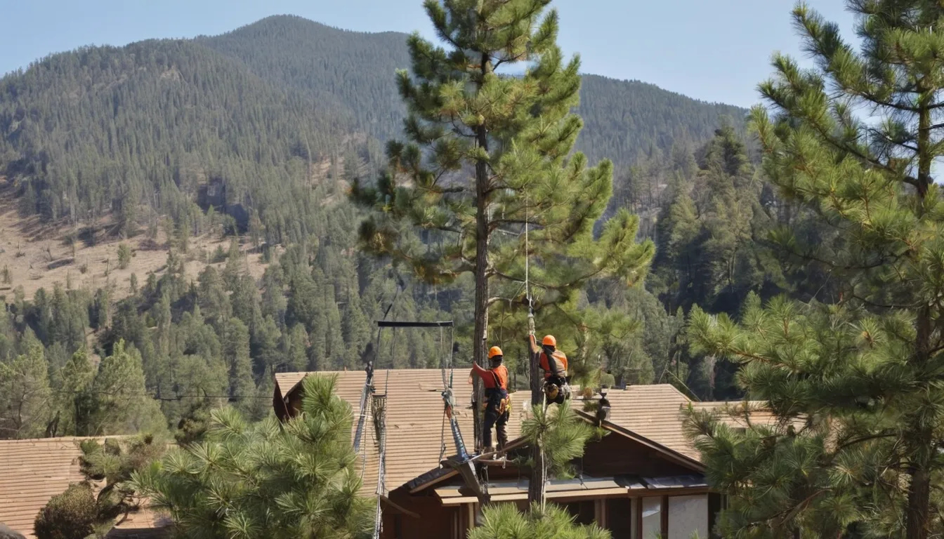 A tree service crew safely taking down a large tree beside a home in Milliken